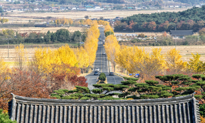 濟州 慶州 釜山 大邱6天秋日之旅 9月日起出發適用 賞您 韓國牙刷牙膏旅行裝 乙套 數量有限 送完即止 鳴謝韓國觀光公社 永安旅遊