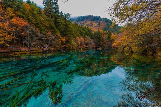 西南地區旅行團 四川旅行團 樂山旅行團 > 【純玩九寨溝 】牟尼溝