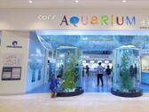COEX水族館