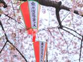 上野公園