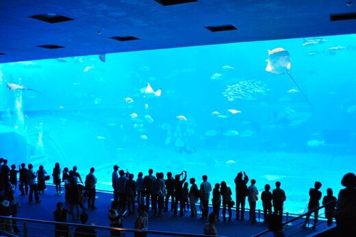 海洋博公園