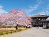 東大寺