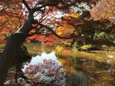 日比谷公園