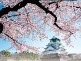 大阪城公園