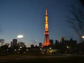 芝公園