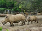 台北市立動物園