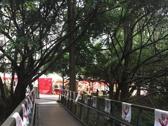 國立清華大學
