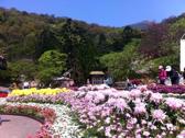 陽明山國家公園