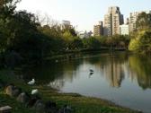 大安森林公園