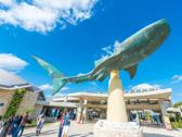沖繩美麗海水族館