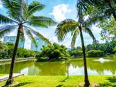 湖濱公園