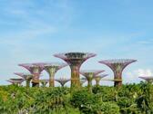 新加坡植物園