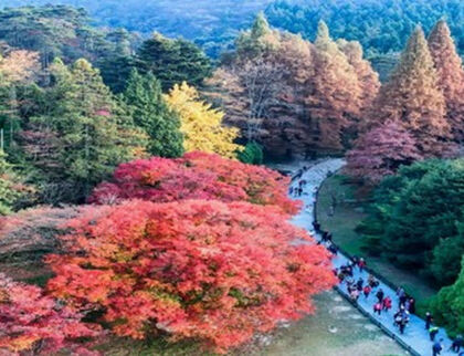 【季節限定】江西賞秋5天高鐵團~廬山(包索道及住宿山上酒店)、中國最美十大人氣賞楓地～婺源石城、篁嶺(賞曬秋)、 婺女洲（觀賞遇見婺源，非遺打鐵花）、東林寺(賞古寺銀杏)、景德鎮、南昌