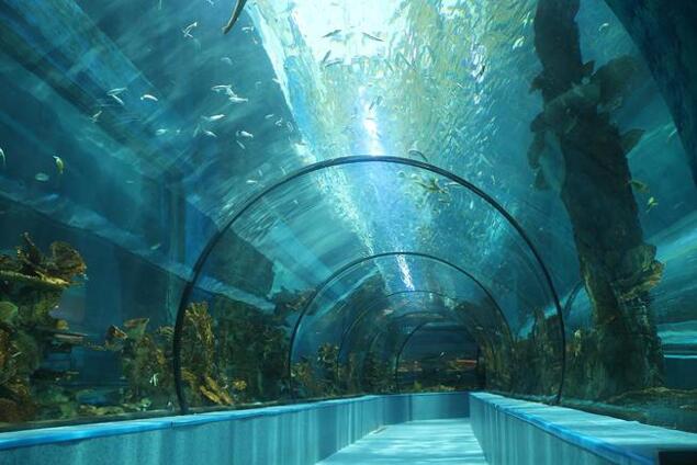 佛山岭南新天地乐从天佑城海洋馆～顺德广州美食2天团 每位$299起