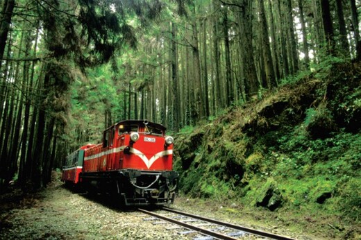 阿里山森林小火車