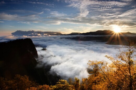 阿里山日出雲海
