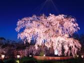 圓山公園