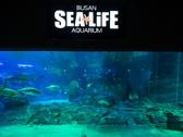 釜山水族館