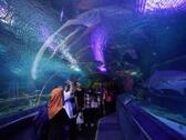 吉隆坡水族館