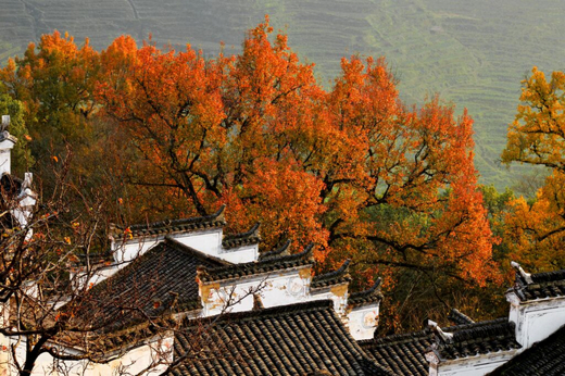 婺源石城