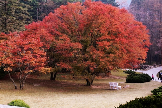 廬山植物園