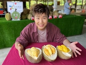 吉隆坡+吉膽島《季節限定 - 品嚐馬來西亞各種榴槤任食及時令水果》度假美食5天團  網上報名每位再減$100推廣碼[DA805]