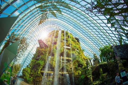 cloud-forest