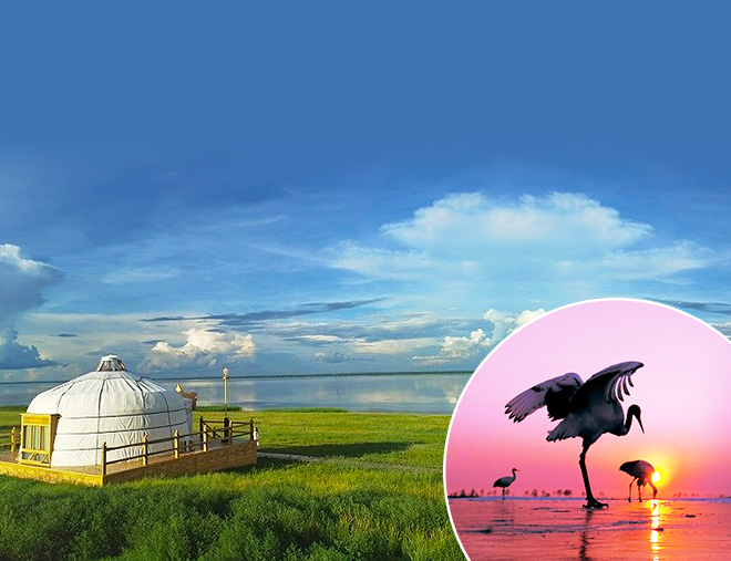 【5鑽】哈爾濱+滿洲里中俄蒙交界不夜城8天深度之旅  世界大濕地、中國鶴家鄉~紮龍自然保護區(觀珍貴丹頂鶴)、中國第三大天池～阿爾山天池、世界四大草原之一～呼倫貝爾大草原、內蒙第一大湖~呼倫湖