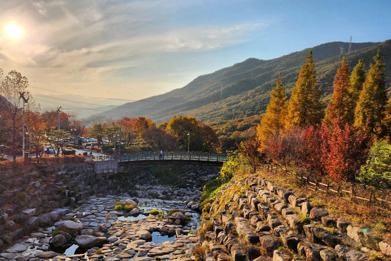 慶州+釜山6天秋色之旅  ※「UNESCO世界文化遺產」普門觀光園地、慶州歷史遺址區~月精橋~大陵苑~東宮與月池、金剛公園+纜車、海雲台遊船體驗、龍頭山公園、東萊邑城址、大渚生態公園、東萊溫泉+汗蒸幕