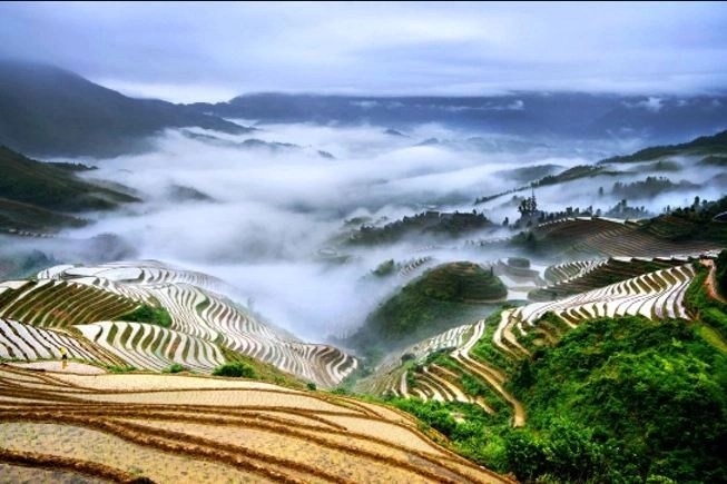 龍脊梯田