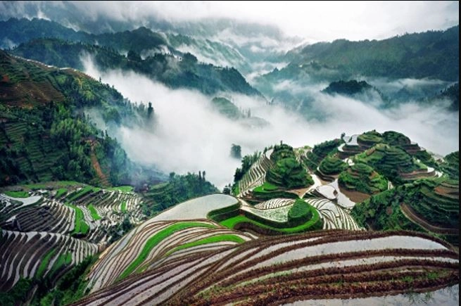 龍脊梯田