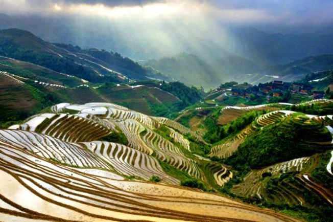 龍脊梯田